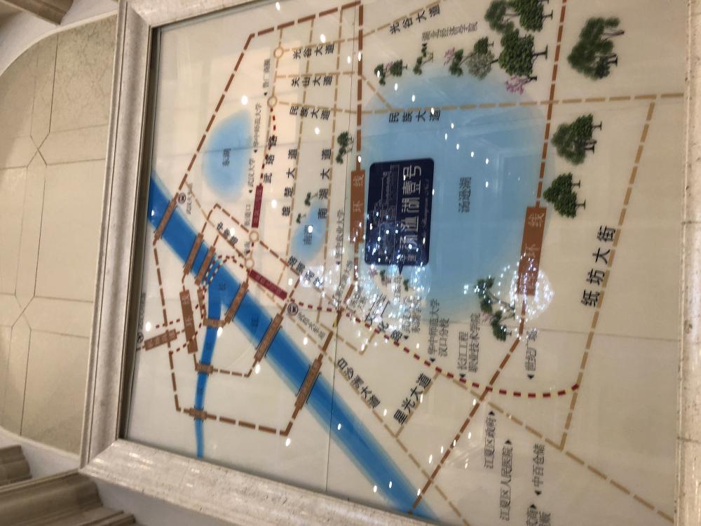 【武汉市中建汤逊湖壹号楼盘】房价,户型,开盘时间详情 项目现场